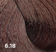 Baco Color Fast 100ml - 10-minute Permanent Colour